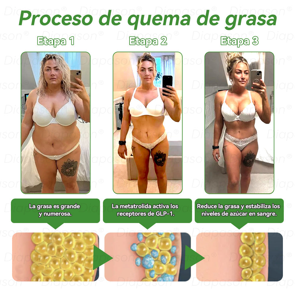 Tienda Oficial | 🍎𝐃𝒊𝓪𝐩𝓪𝙨𝐨𝒏®Ｇ𝖫𝑃-𝟏 𝑆𝑖𝑒𝑡𝑒 𝑒𝑛 𝑢𝑛𝑜 𝑆𝑜𝑙𝑢𝑐𝑖ó𝑛 𝑃𝑎𝑟𝑎 𝑙𝑎 𝑆𝑎𝑙𝑢𝑑 𝐿í𝑞𝑢𝑖𝑑𝑜 𝑂𝑟𝑎𝑙(Solo una vez al día, cambios visibles en 7 días) Para obesidad, salud cardiovascular, diabetes, apnea del sueño, salud intestinal, problemas articulares y más